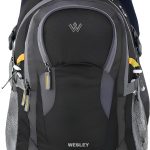 Wesley Spartan Unisex Travel Hiking Laptop Bag fits Upto 17.3 inch with Raincover and Internal Organiser Backpack Rucksack College Backpack